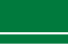 العربية flag
